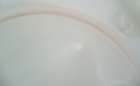 Bild 12 von 12