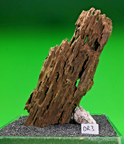 Dragon WOOD driftwood AQUARIUM aquascape like mopani bogwood vivarium pleco hide - Picture 18 of 190