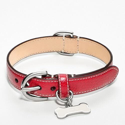 Nuovissimo con etichette collare per cani da coach rosso/argento con ciondolo osso taglia XS sotto $350 - Foto 1 di 4