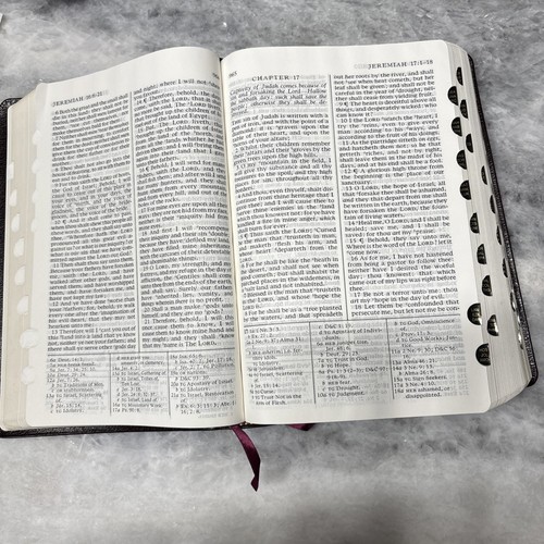 Holy Bible Book Of Mormon Doctrine And Covenants Pearl Of Great Price Indexed - Bild 8 von 20