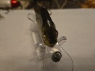 Bagleys Bream — photo 3