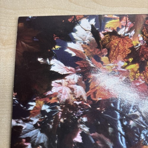 Bubba Sparxxx - Deliverance Maxi 12" Vinyl Beat Club 986 201 4 von 2004 - Bild 10 von 16