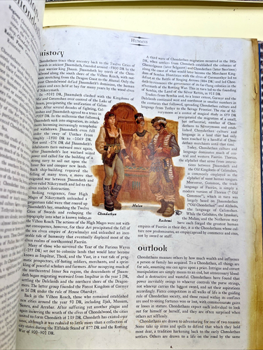 Races of Faerun (Dungeons & Dragons d20 3.0 Fantasy Roleplaying, Forgotten Realm - Bild 3 von 5