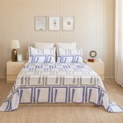 Premium Soft 100% Cotton Flat Bedsheet- Lovely Floral Print with 2 Pillow Covers