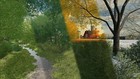 Bild 8 von 9