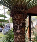 Bild 8 von 28