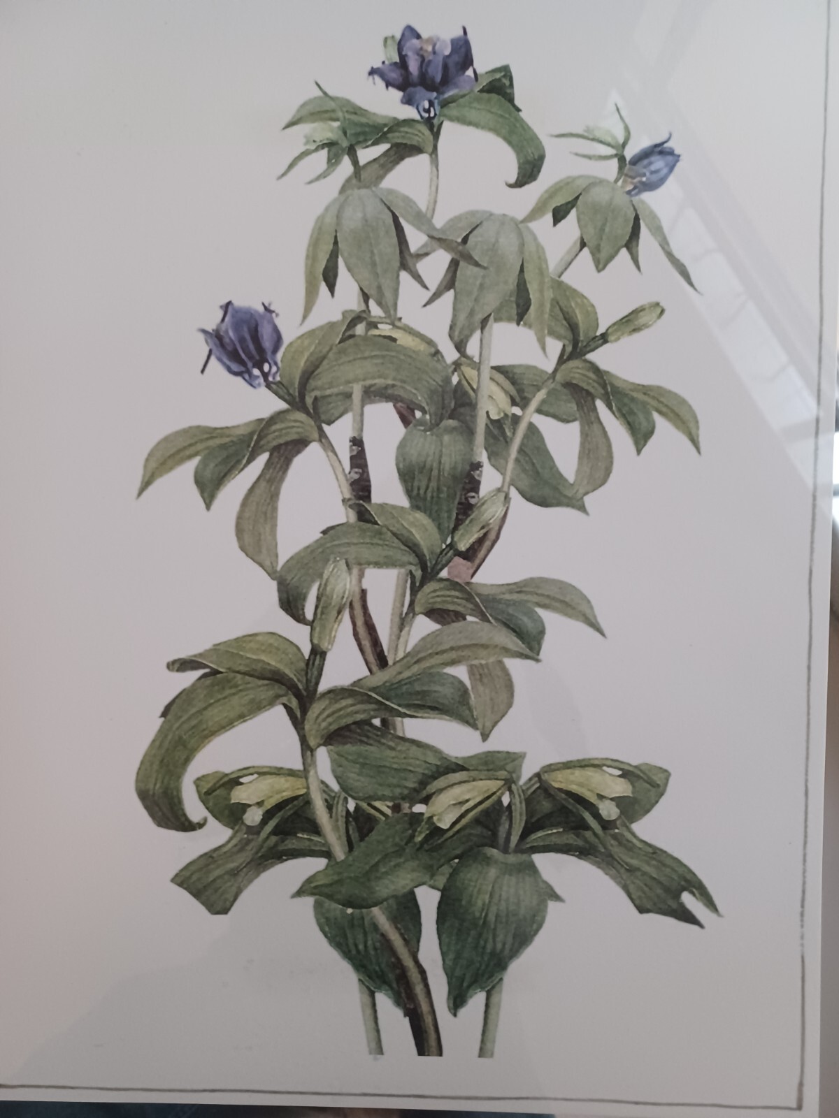 Picture 5 of 7