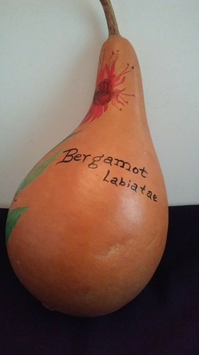 Rare Artisan Hand Painted Gourd w/ Red Bergamot Labiatae Flower signed Krickett - Picture 3 of 7