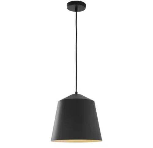 Home Decorators 12.5 in 1-Light Black Industrial Farmhouse Pendant Light Fixture