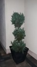 Picture 15 of 23