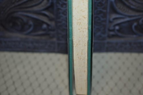 Cages by Peg Kehret (1st Edition/3rd Printing, signed, 1991, Hardcover) - Foto 9 di 13