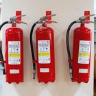 Foto 10 di 11