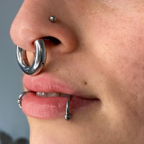 Anillo de tabique grande con bisagras de titanio 2G-12G clicker calibre de oreja aro pendiente joyería - Imagen 5 de 40