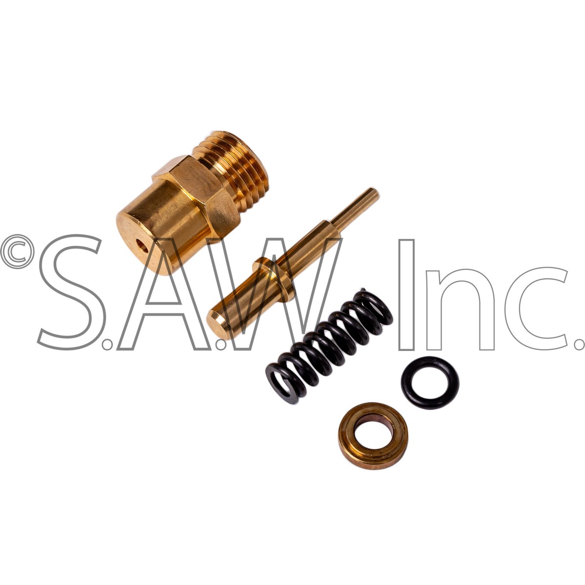 AAA 2006 1st タオル Nissy Amazon.com: 7109627 AAA Simpson Cleaning Check Valve Repair