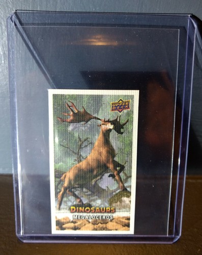 2015 Upper Deck Dinosauri Tela Mini Megaloceros #141 Trading Card - Foto 1 di 2
