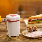 Ham Maker with thermometer and recipes Tescoma Excellent for making ham home
