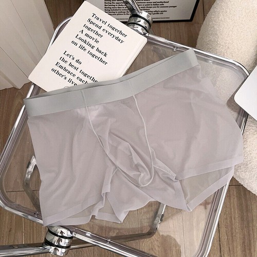 Mens Panties Ice Silk Underwear Cool Shorts Translucent Underwear Briefs - Picture 54 of 58