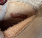 Bild 7 von 23