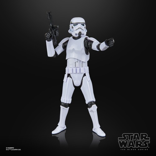 Hasbro Star Wars Black Series REBEL TROOPER STORMTROOPER 6" Action Figure Set - Picture 10 of 12
