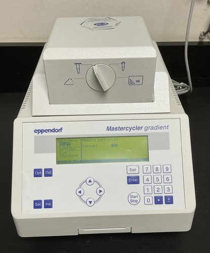 Eppendorf Mastercycler Gradient 5331 PCR Thermal Cycler