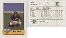 1994 Fleer ProCards Minor League Mike Bradish #1926