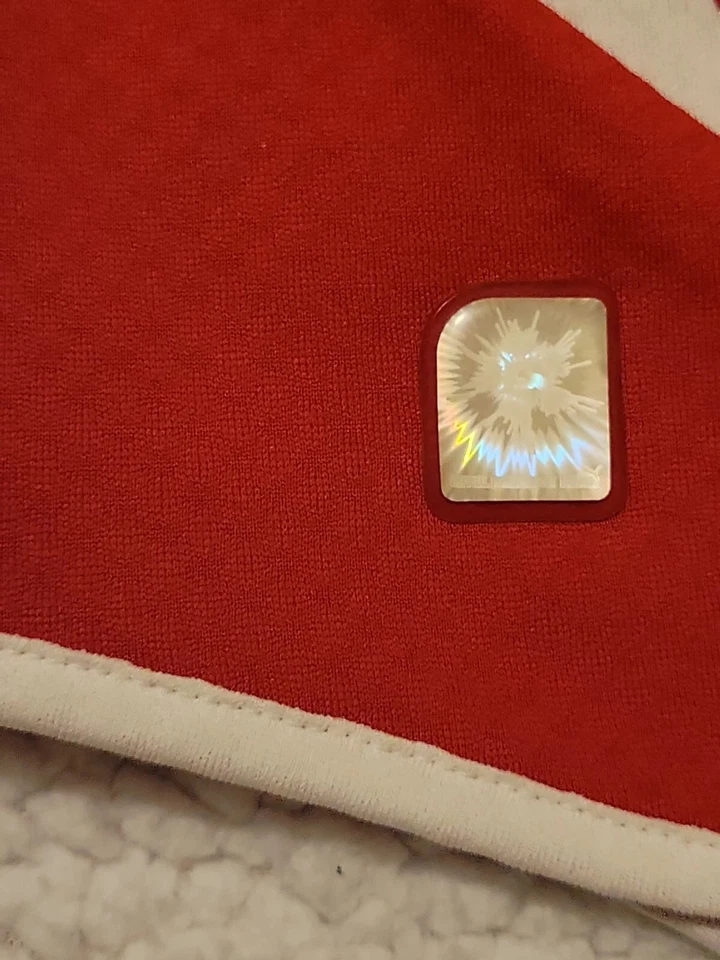 LARGE AUTHENTIC PUMA Switzerland National Team SOCCER Jersey #1 FEDERER Tribute - Image 3 of 4