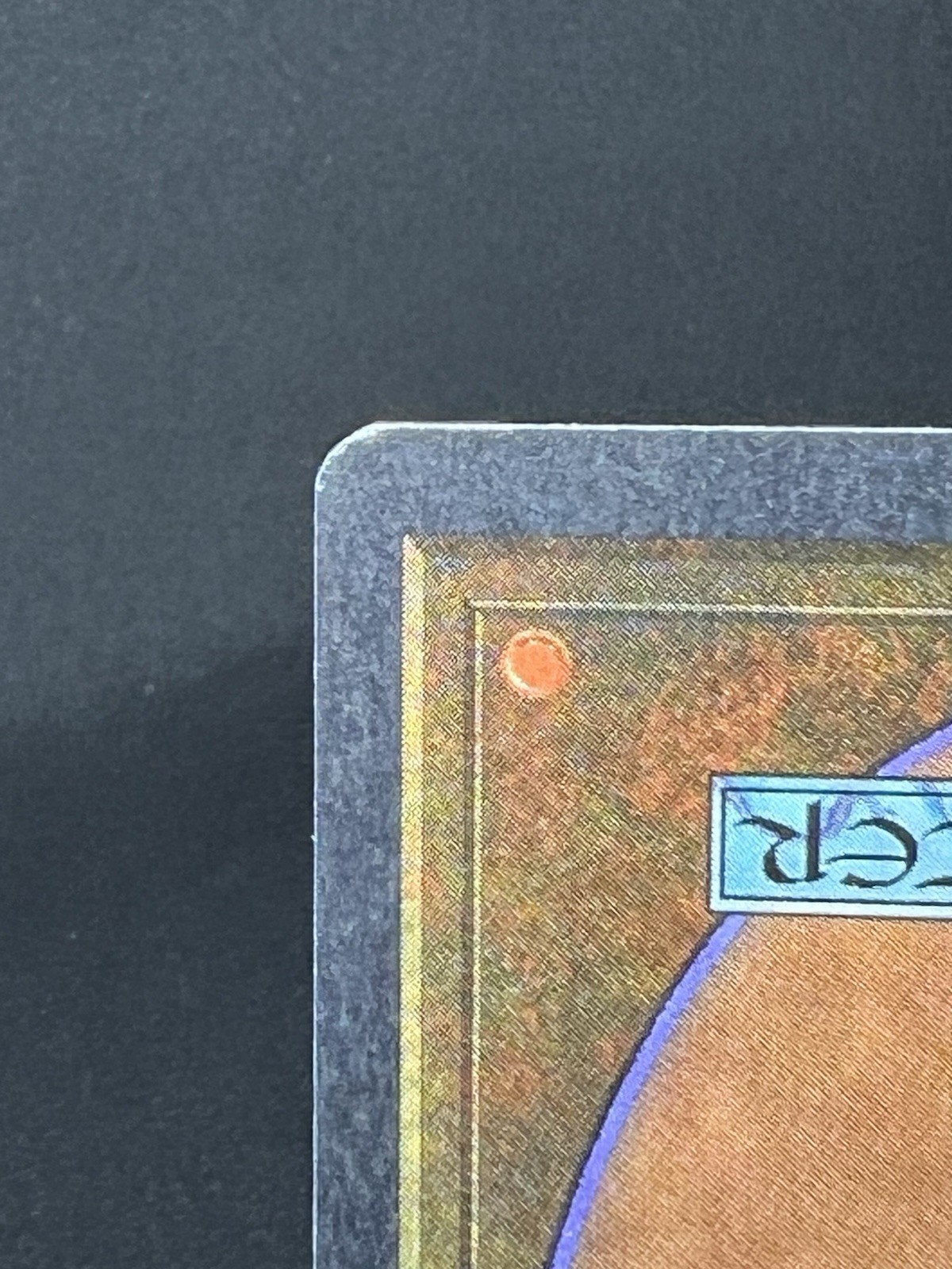 Picture 9 of 10