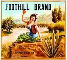 Riverside Foothill Beautiful Woman Orange Citrus Fruit Crate Label Art Print