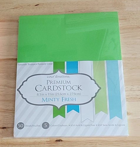Various Brands SCRAPBOOK 8.5"x11" CARDSTOCK PAPER PACKS You Choose - Picture 33 of 62