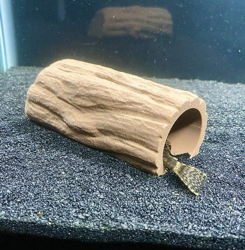 Pleco Cave Wood Decoration Pleco Hide Aquarium Caves Bristlenose Pleco - Picture 6 of 11