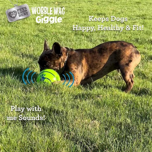 Wobble Wag Giggle Ball 2er Pack - Interaktives Hundespielzeug, Spaß Kichern Geräusche Wenn 2er Pack - Bild 18 von 24