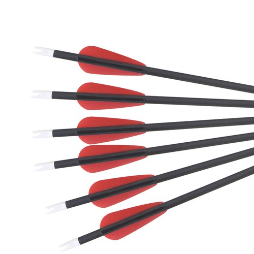 24" Carbonpfeile für Kinder Jugend Compoundbogen Zielscheibe Übung Schießpfeile - Bild 4 von 12