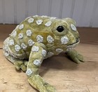 ANKE DRECHSEL Silk Velvet Velvet Green Polka Dot Embroidered Frog