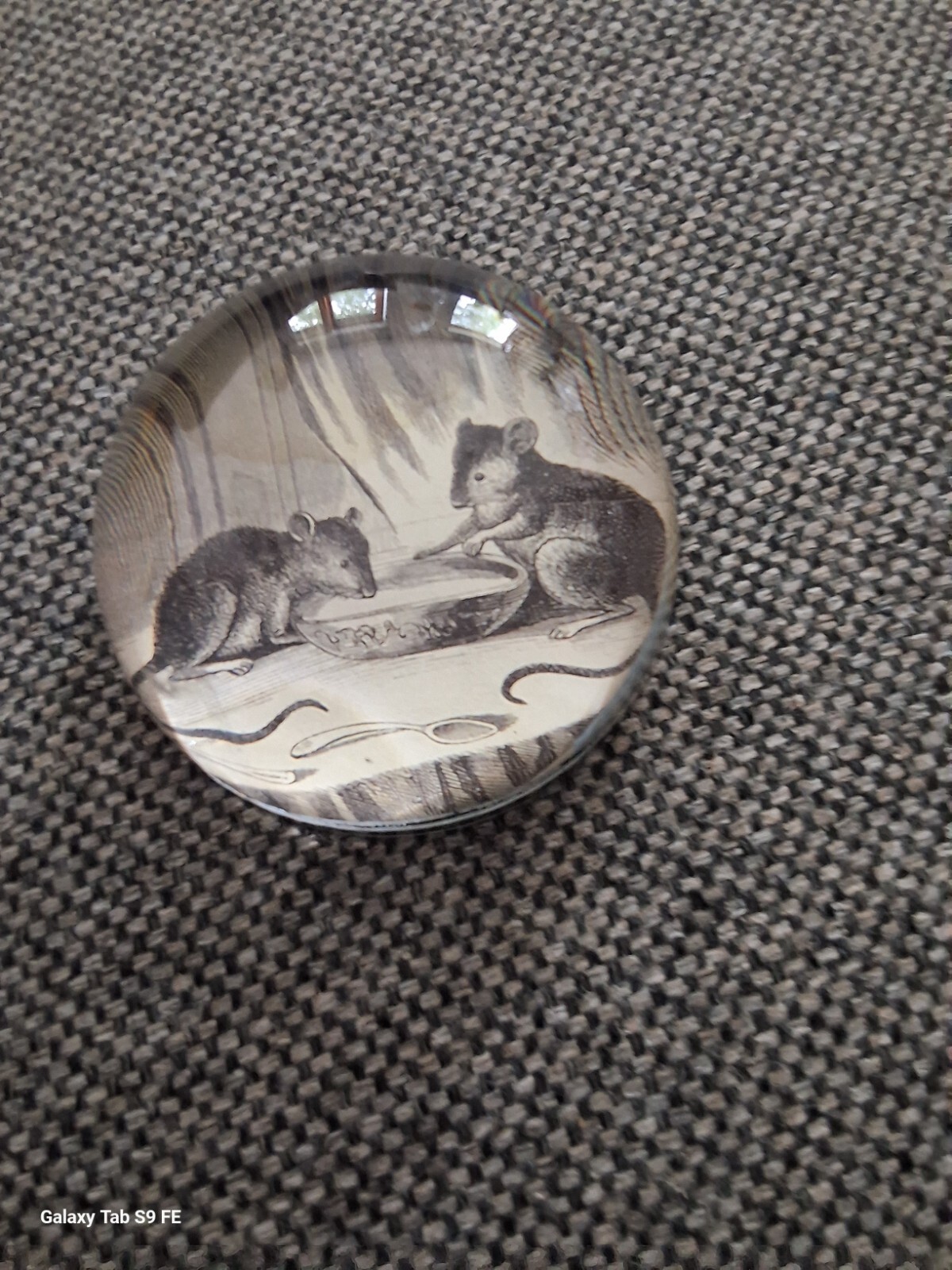 Picture 1 of 2