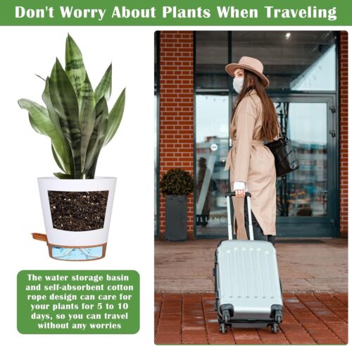 5 Pack Self Watering Plant Pots, 6 inch Plastic Pots Set Bottom White - Picture 4 of 7
