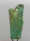 Foto 13 di 13