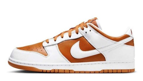 Nike Dunk Low Dark Curry Reverse Curry FQ6965-700 US 6 - 12 Men - 第 3/10 張圖片