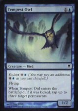 Tempest Owl - Zendikar: #72, Magic: The Gathering Nm R176