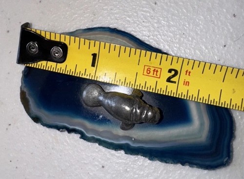 Manatí miniatura Pewture en rebanada de piedras preciosas - Imagen 3 de 5