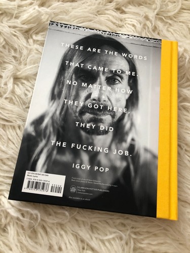 IGGY POP 'TIL WRONG FEELS RIGHT (LYRICS AND MORE) HARDCOVER BOOK POTTER - Picture 18 of 20