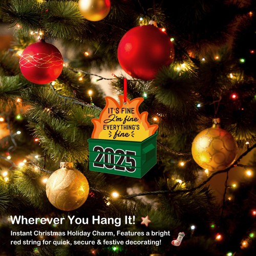 Divertido adorno de fuego de contenedor de basura - 2025 adorno de Navidad está bien estoy bien todos... - Imagen 4 de 7