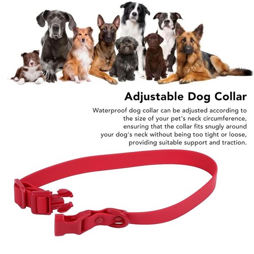 Elastic Webbing Waterproof Dog Collar Safety Buckle Chain Cats - Picture 9 of 21