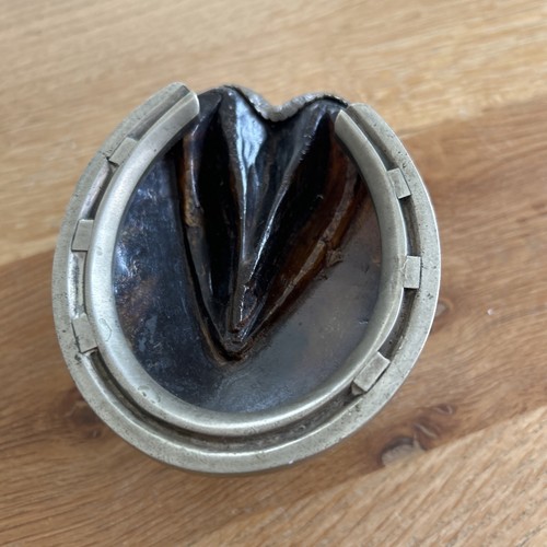 Victorian Silver Pony Hoof Inkwell E H Stockwell London 1876 - Picture 16 of 16