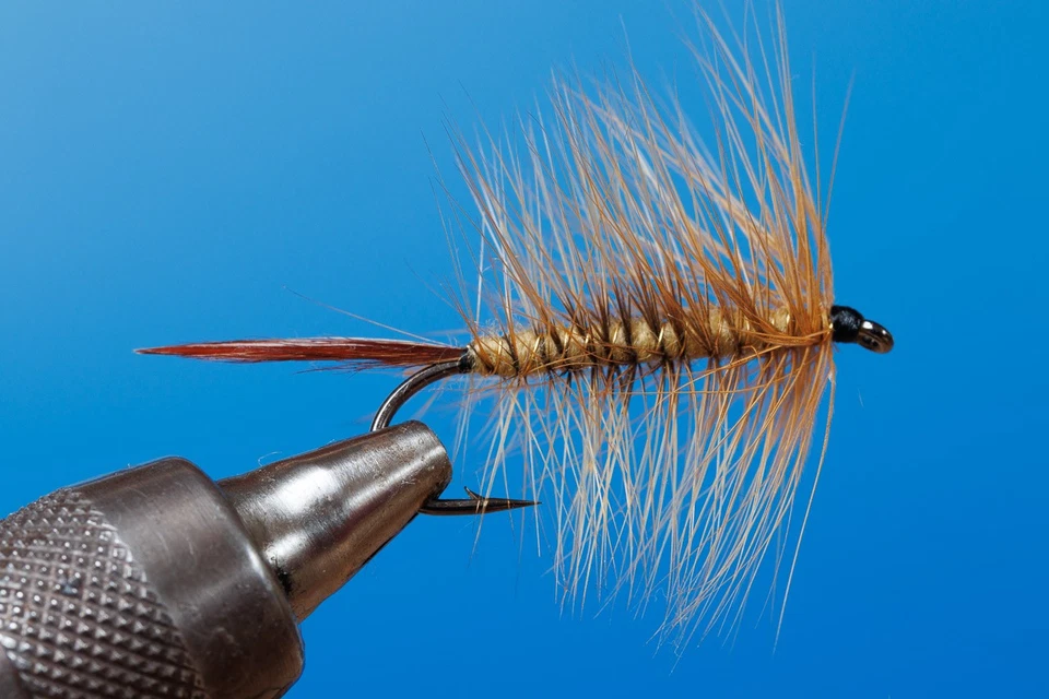 Fliegentom - Sortiment von 6 Holland Palmer Fliegen - Bild 2 von 4