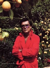 1985 Vintage ROBERT EVANS Film Producer By HELMUT NEWTON Garden Photo Art 11X14 1985 Vintage ROBERT EVANS Film Producer By HELMUT NEWTON Garden Photo Art 11X14