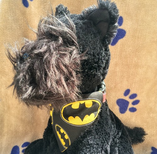 Bandana hecha a mano con cuello deslizable. Perro, gato, etc. Cómics, Halloween, terror, calavera - Imagen 12 de 56