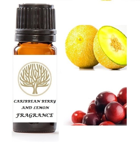 EkoFace Duftöle für Ölbrenner, Potpourri, Bad & Kerzenherstellung 10ml - Bild 14 von 55