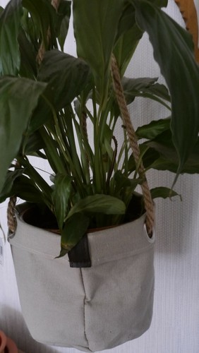 Pflanzentasche Blumenampel Hängekorb Textil - 3 Grössen zur Wahl - Bild 4 von 5