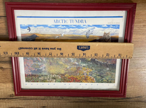 A Complete Set of 12 Nature of America Stamp Sheets Red Frames 1999-2008 - Picture 12 of 12