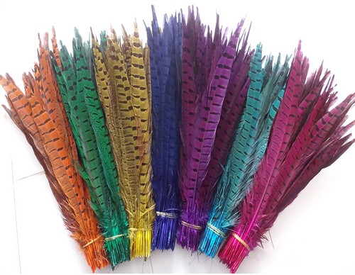 Lote de 10 plumas de cola de faisán teñidas naturales 30-35 cm/12-14" decoración de boda - Imagen 1 de 28